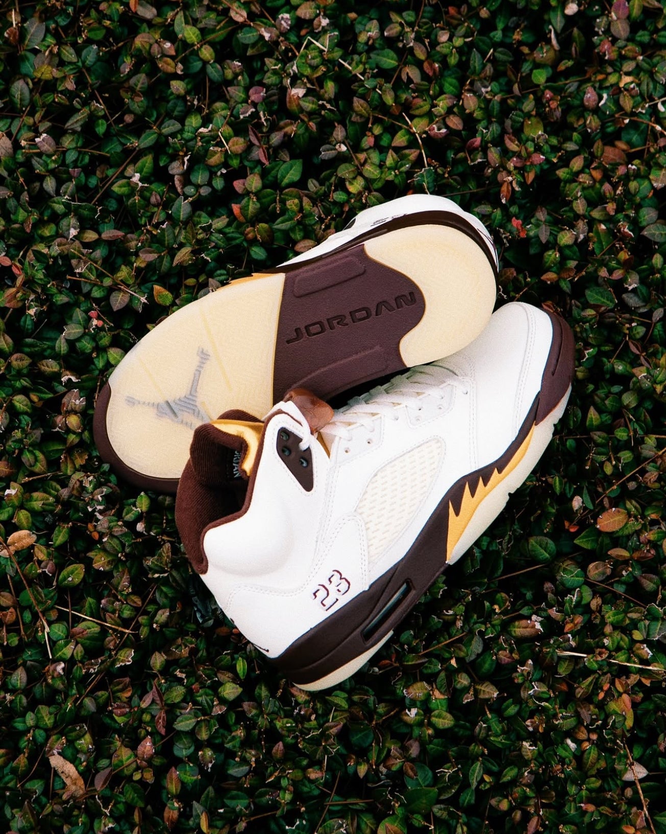 Air Jordan 5 Earth