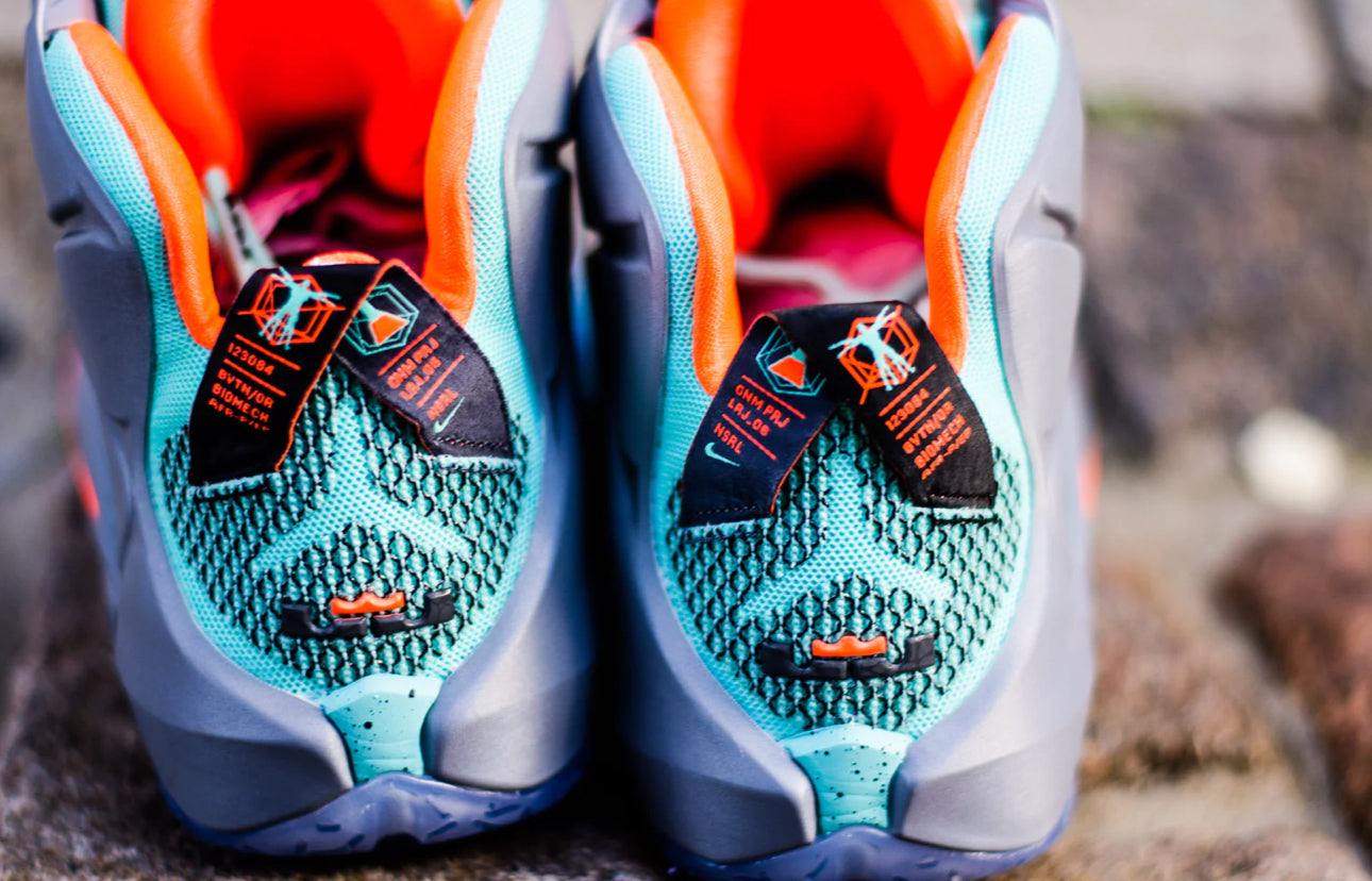 LeBron 12 NSRL