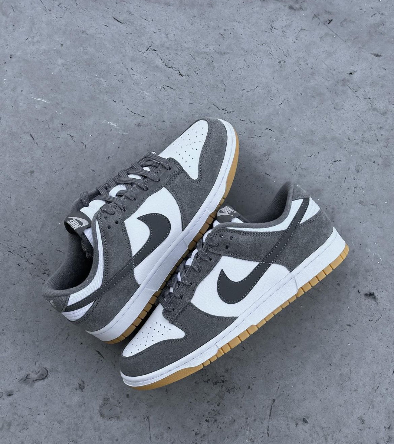 Dunk Low Grey Gum