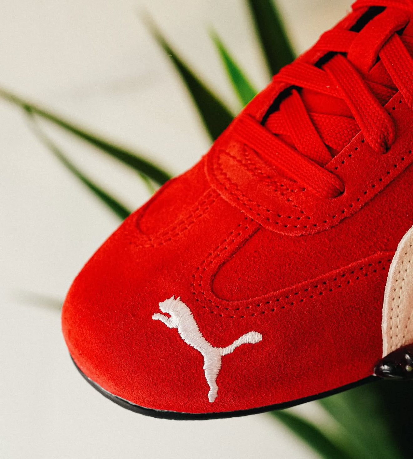WMNs Puma Speed cat Red White