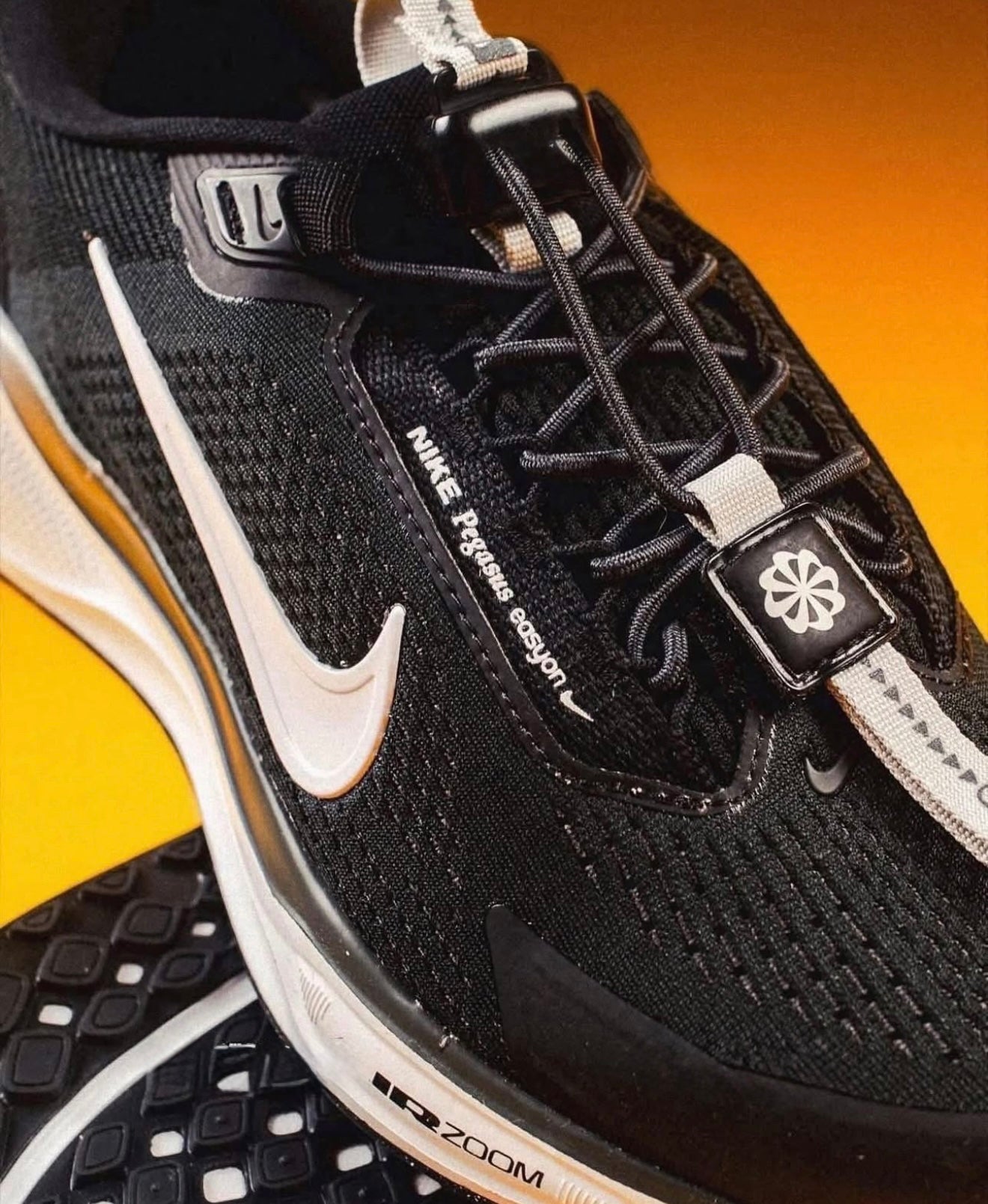 Air Zoom Pegasus 41 EasyOn