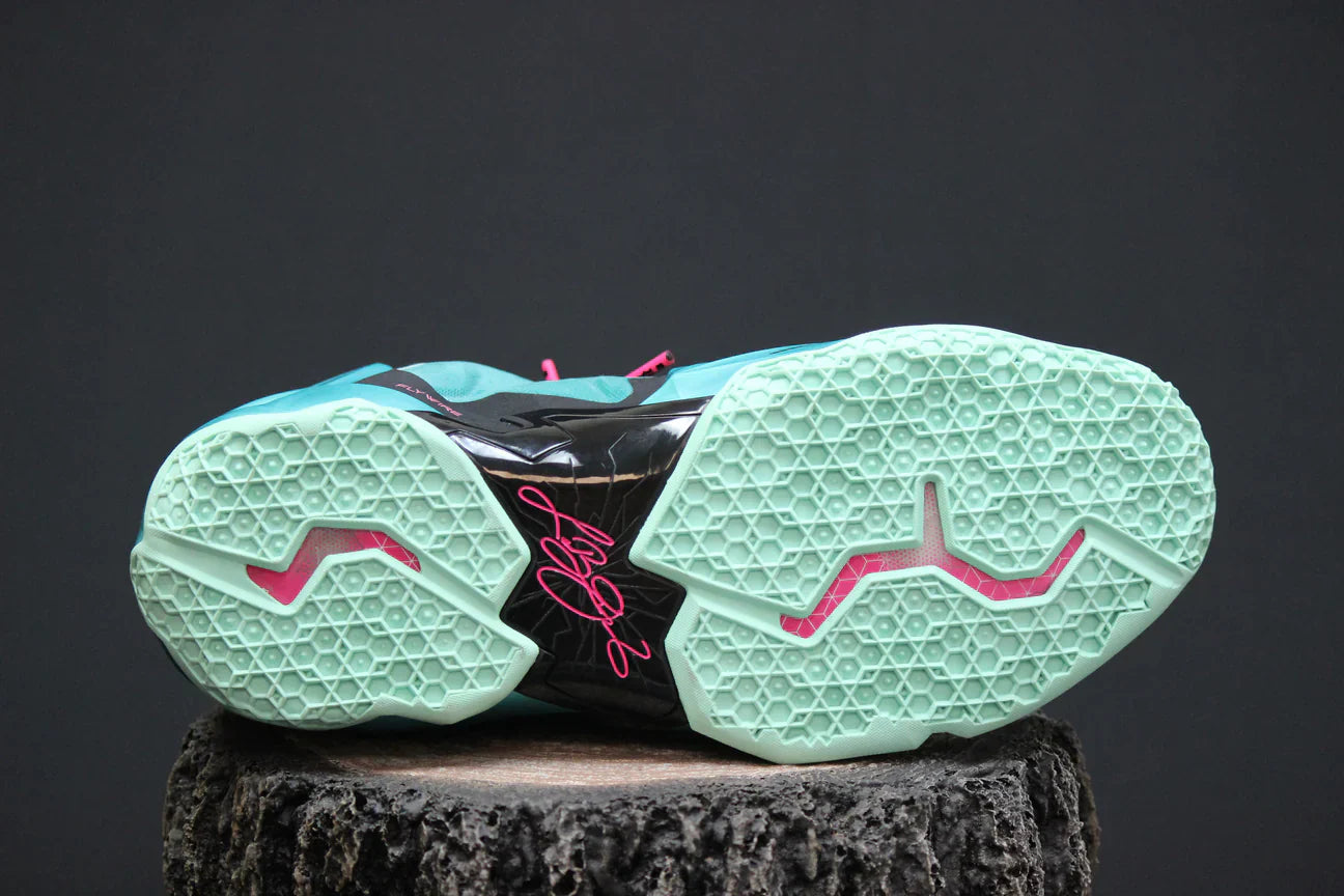 Lebron 11 South Beach