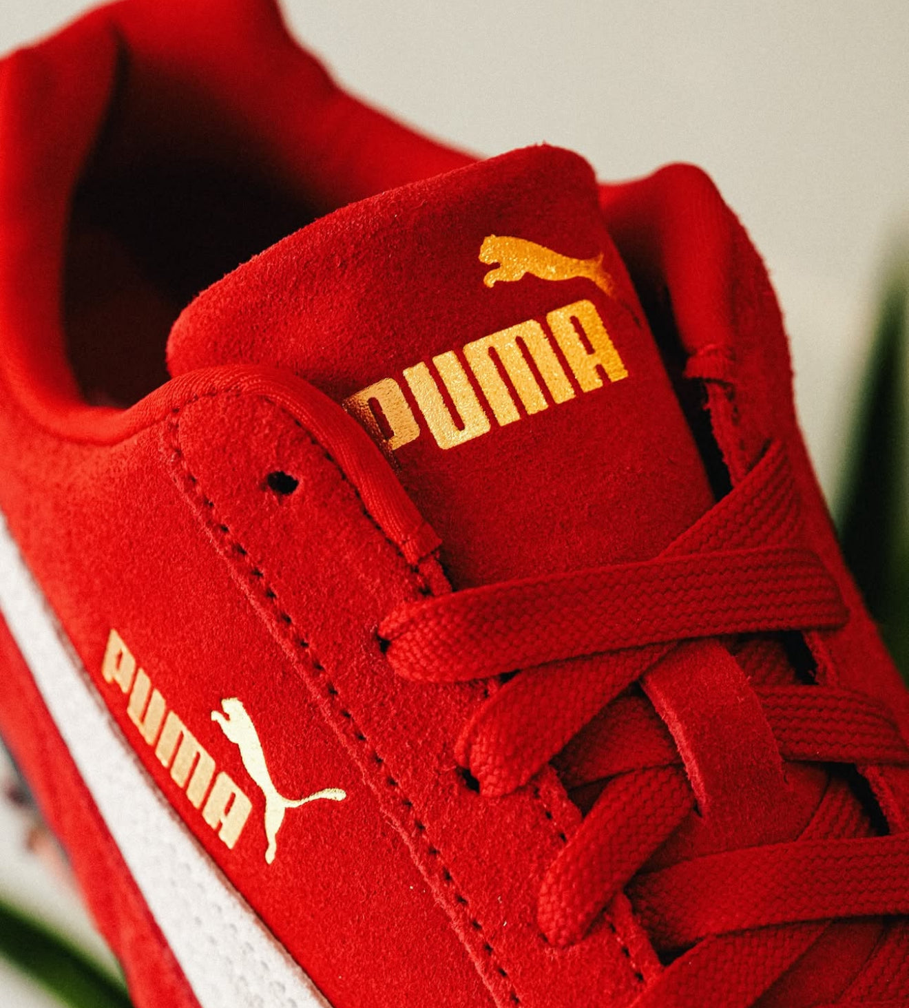 WMNs Puma Speed cat Red White