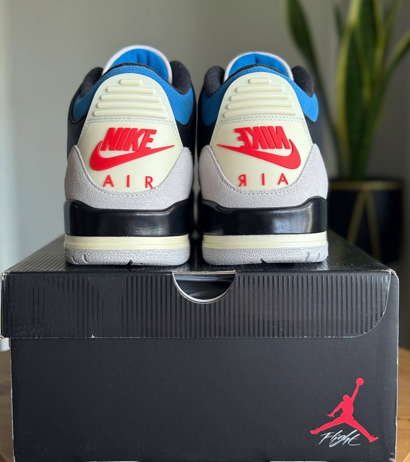 Air Jordan 3 Retro OG Rare Air