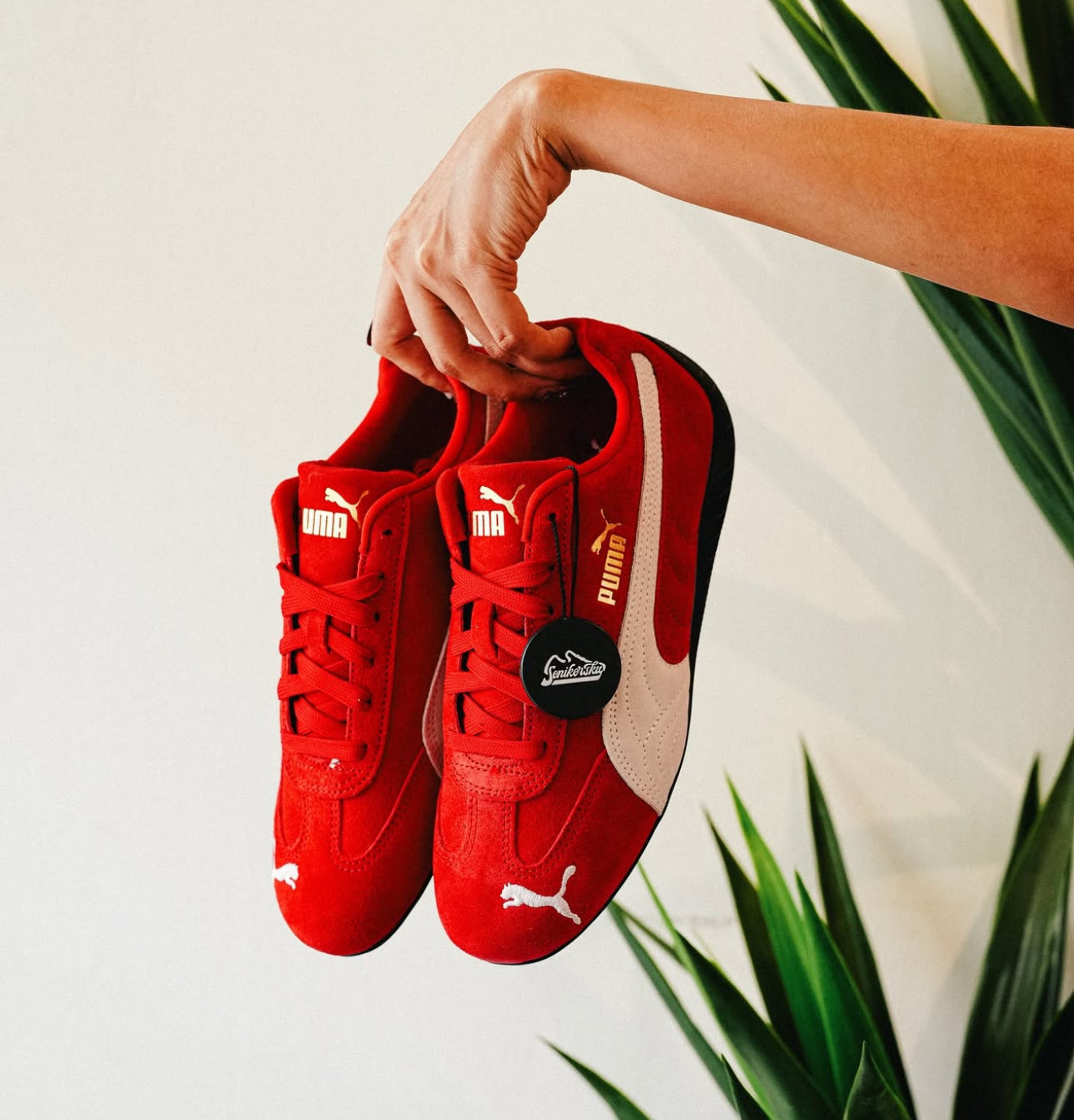 WMNs Puma Speed cat Red White