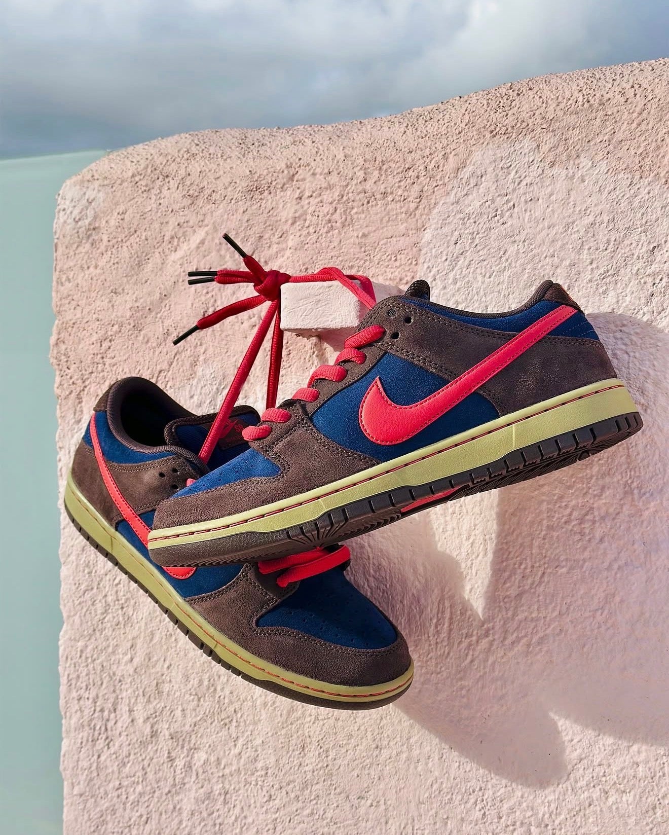 SB Dunk Low Pro Baroque Brown Adobe
