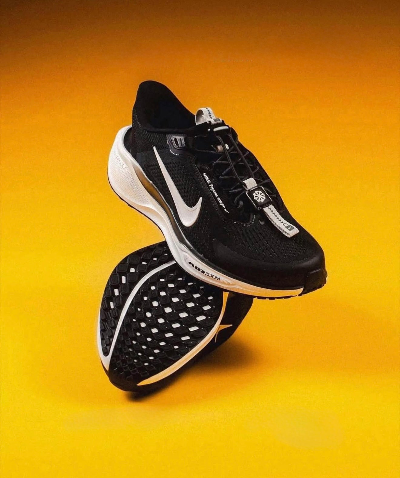 Air Zoom Pegasus 41 EasyOn