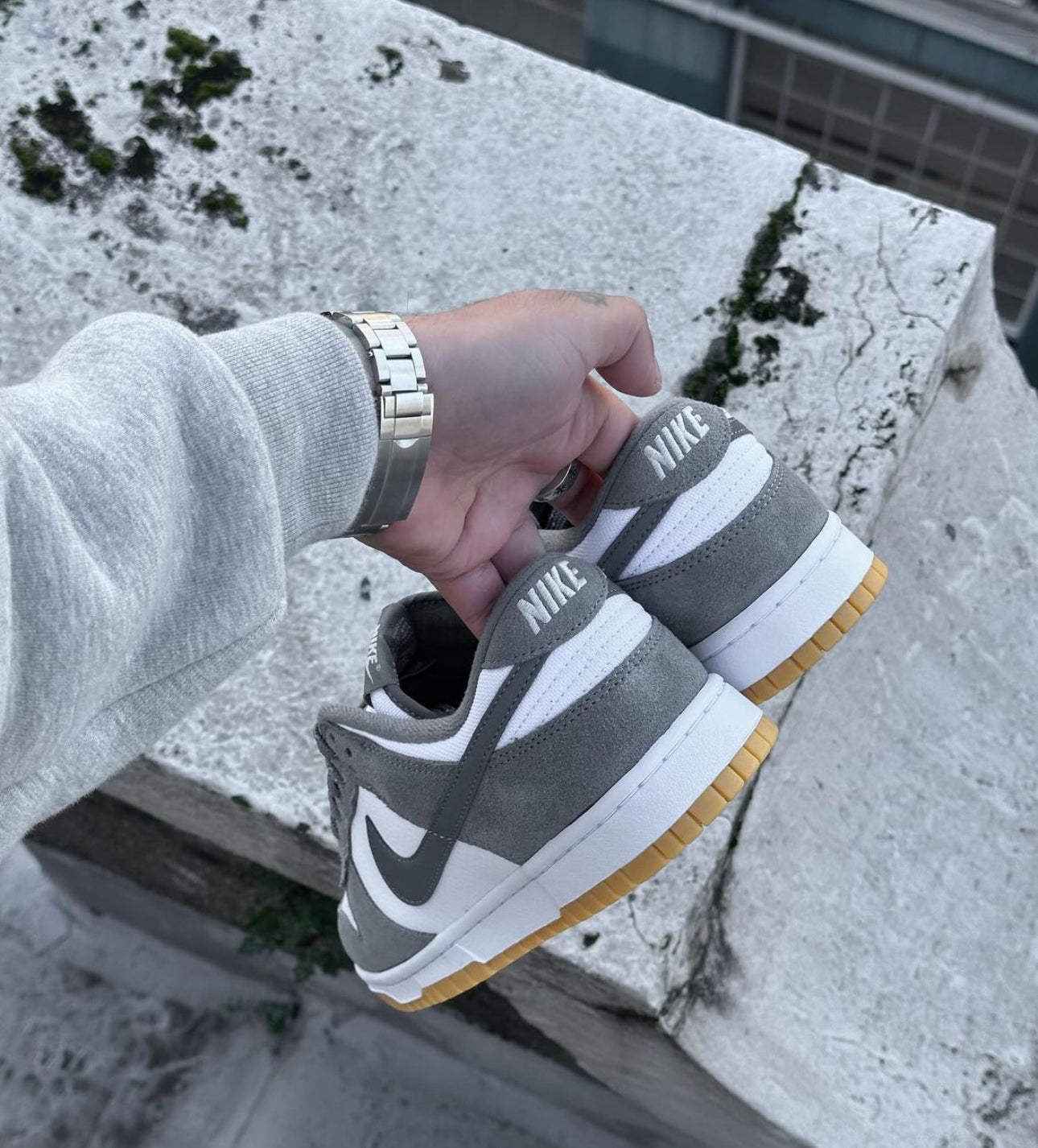 Dunk Low Grey Gum