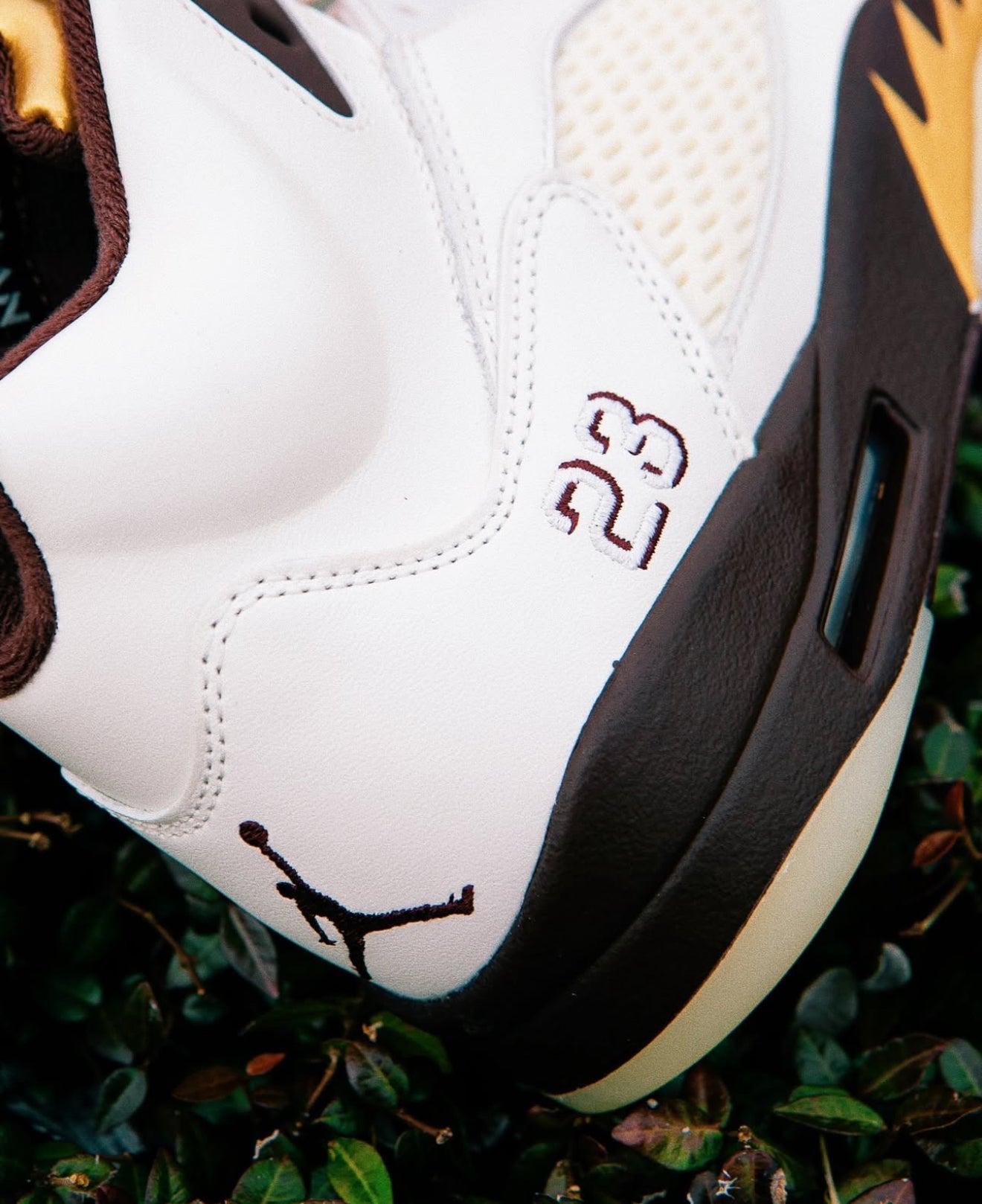 Air Jordan 5 Earth