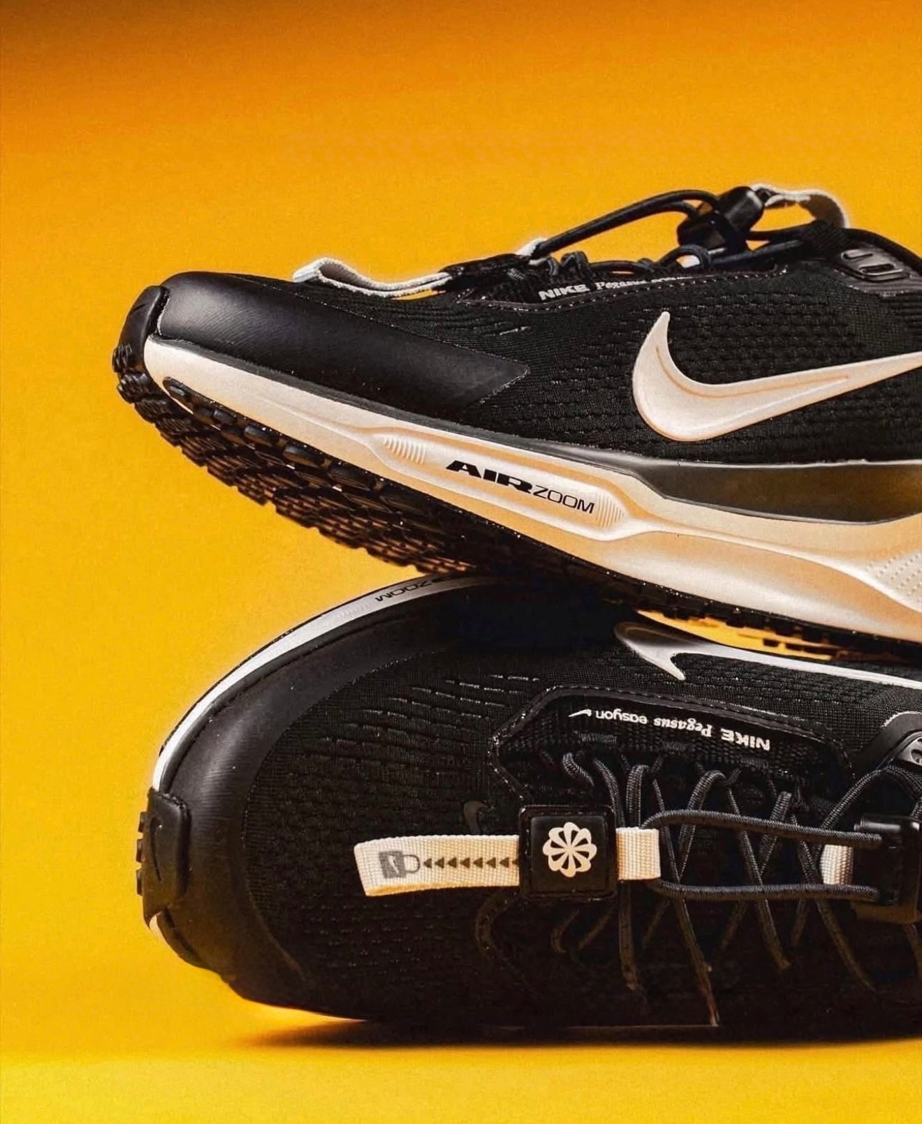 Air Zoom Pegasus 41 EasyOn