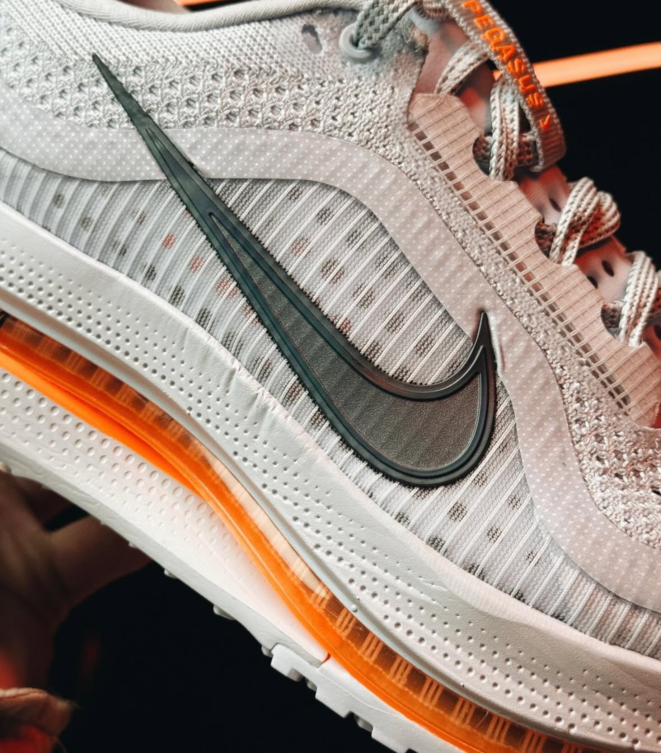 Air Zoom Pegasus Premium Airscape