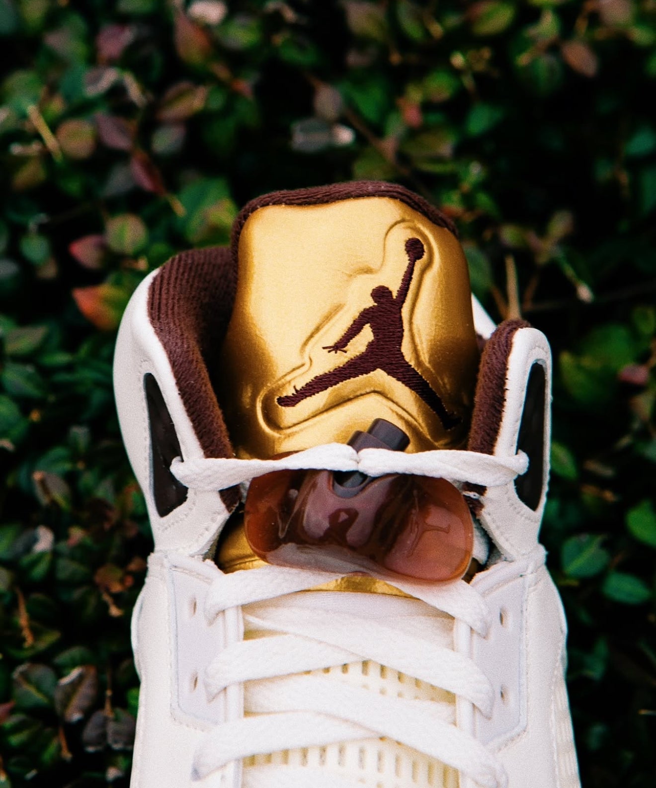 Air Jordan 5 Earth