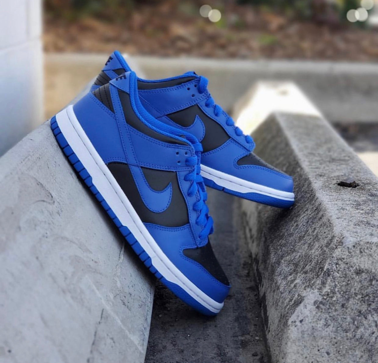 Dunk Low Hyper Cobalt