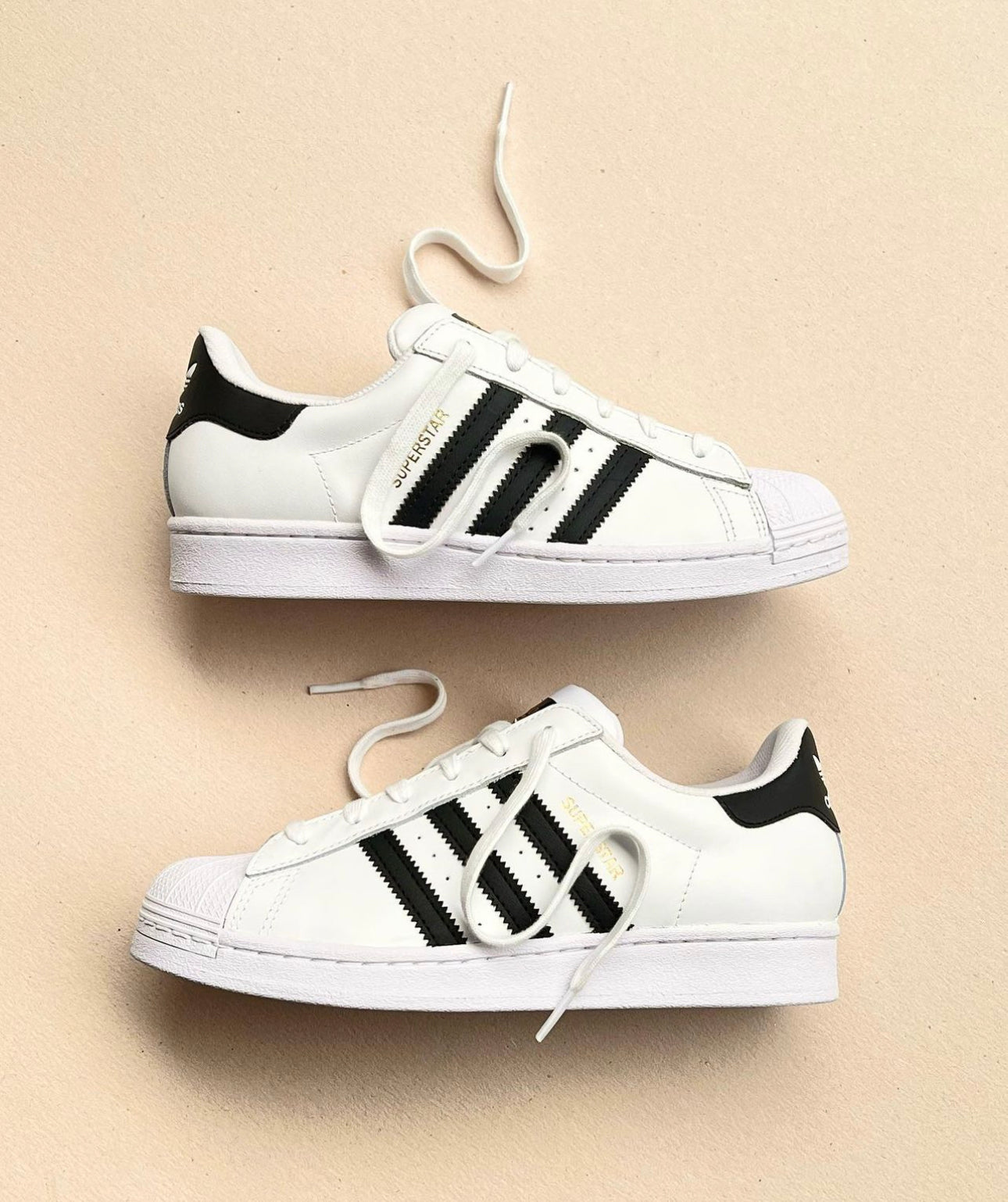 Superstar White/Black