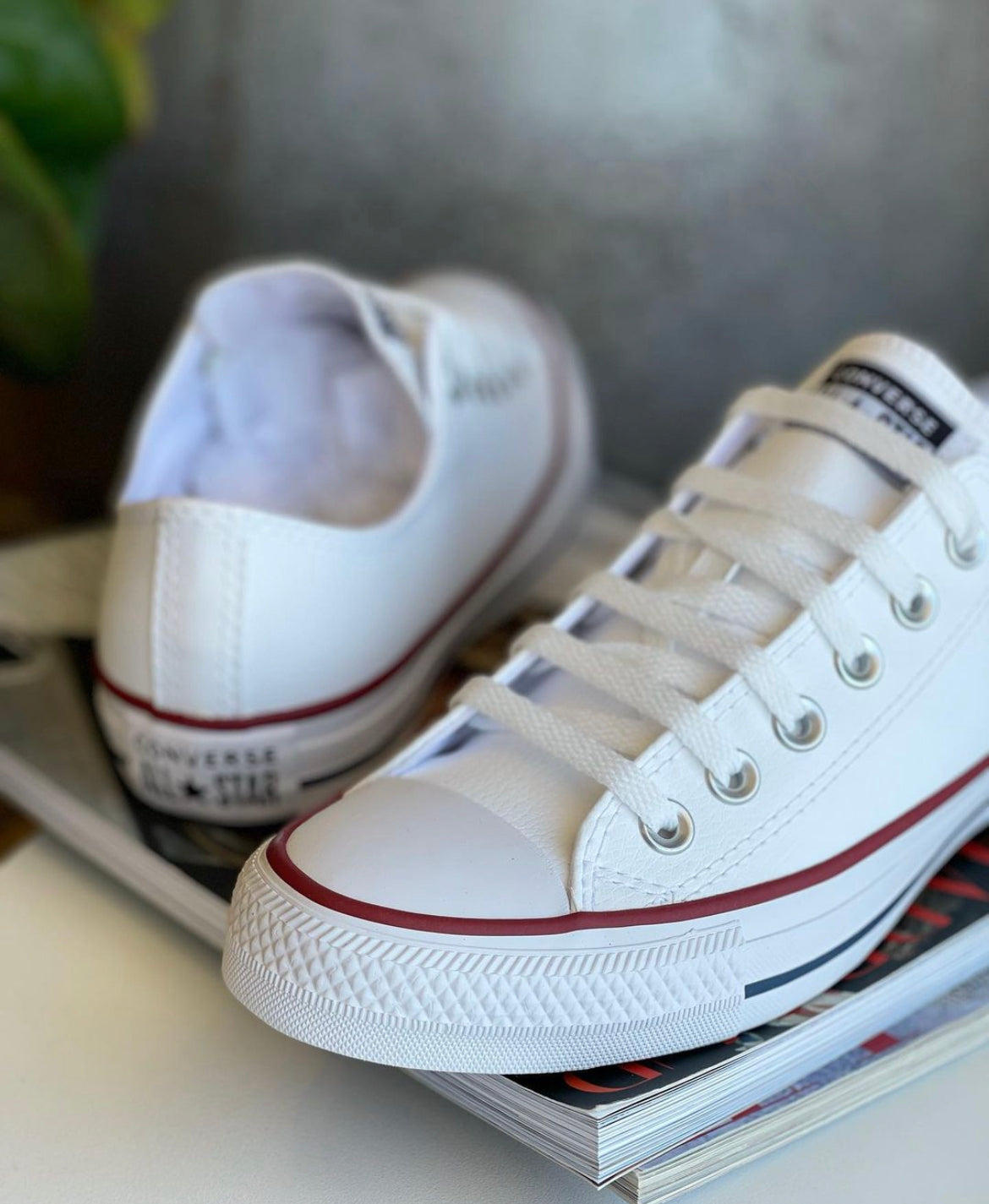 Converse All Star Low Ankle “White”