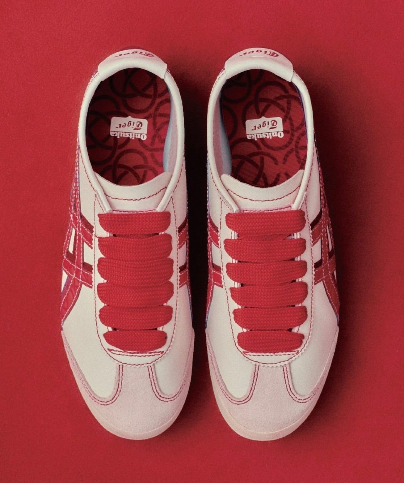 WMNs Mexico 66 Year of Snake