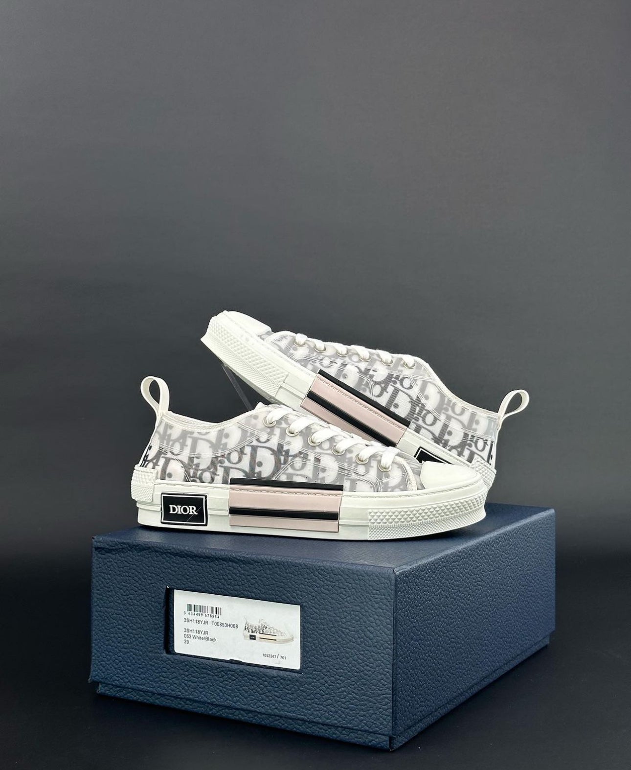 Dior B23 Low Top Oblique Sneakers