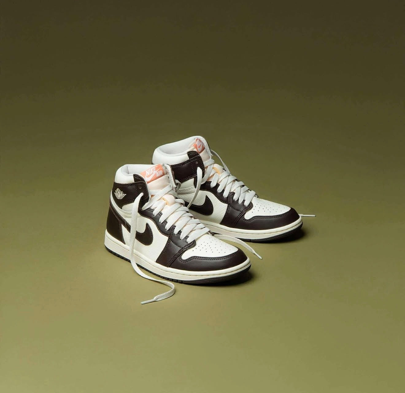 Air Jordan 1 Retro High OG Light Madder Root