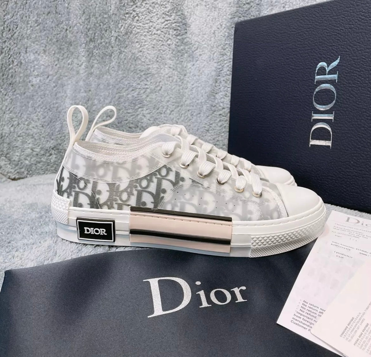 Dior B23 Low Top Oblique Sneakers
