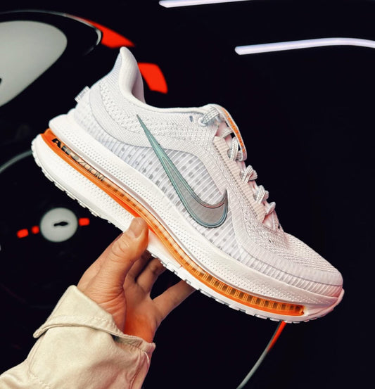 Air Zoom Pegasus Premium Airscape