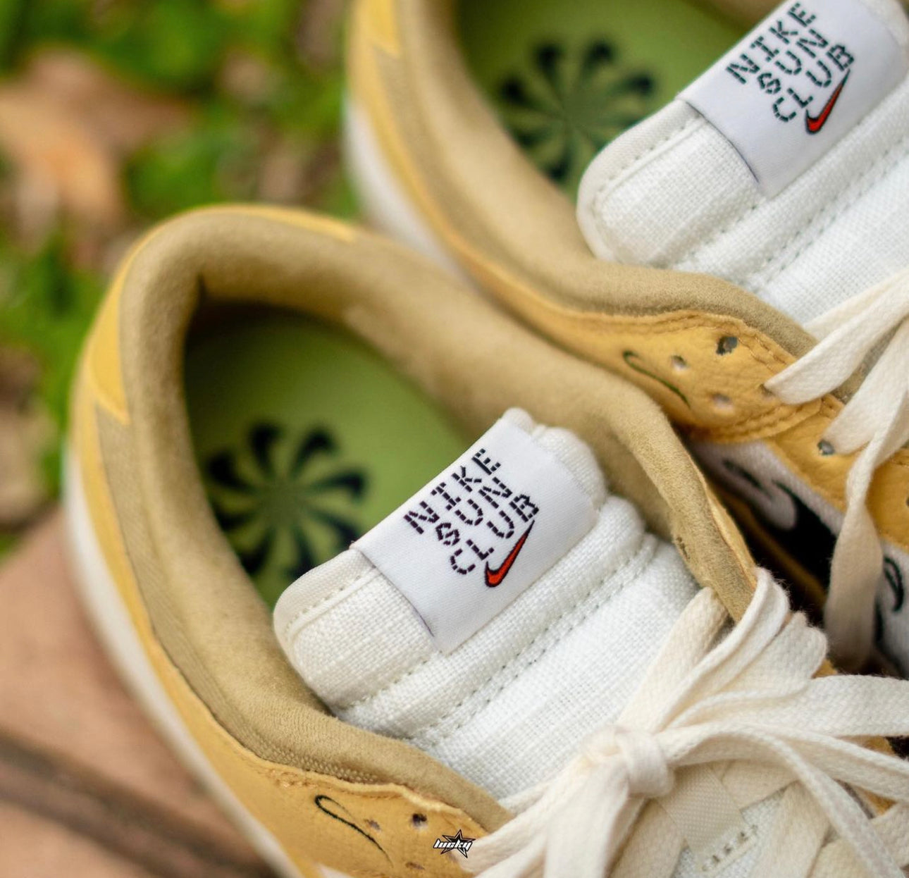 Dunk Low “Sun Club”