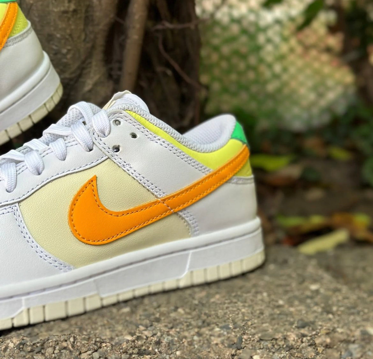 Dunk Low “ Sundial “