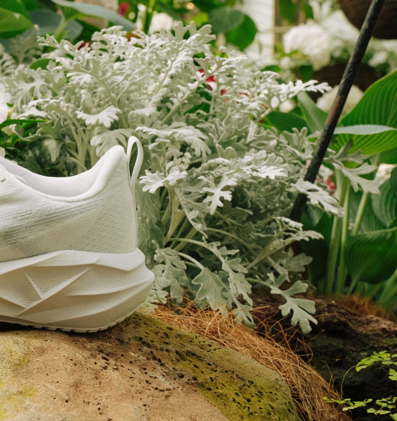 Asics Novablast 5 White Piedmont Grey