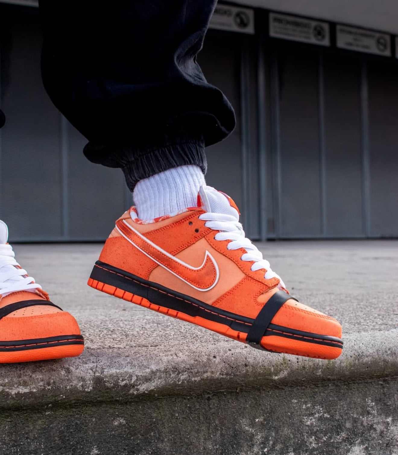 SB Dunk Low Concepts Orange Lobster