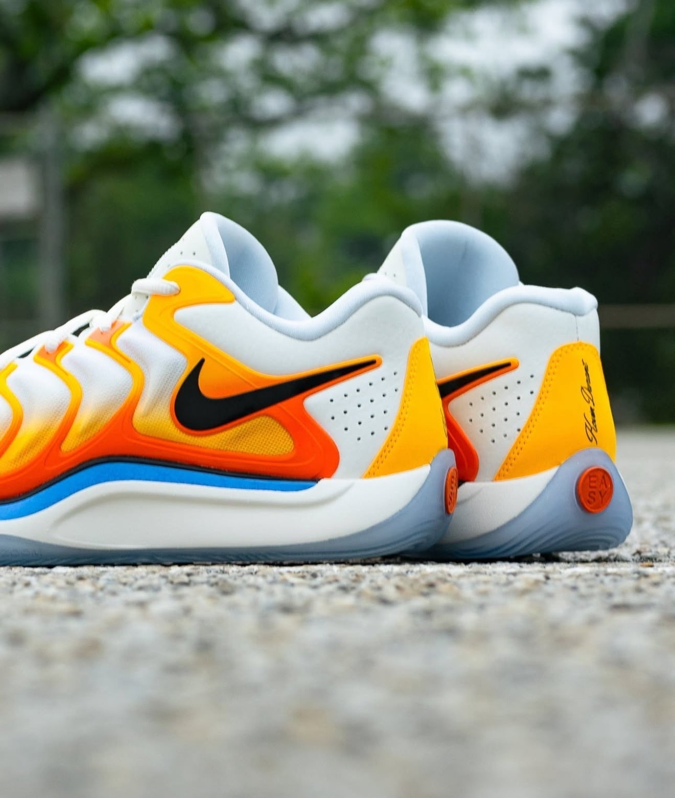 KD 17 Sunrise