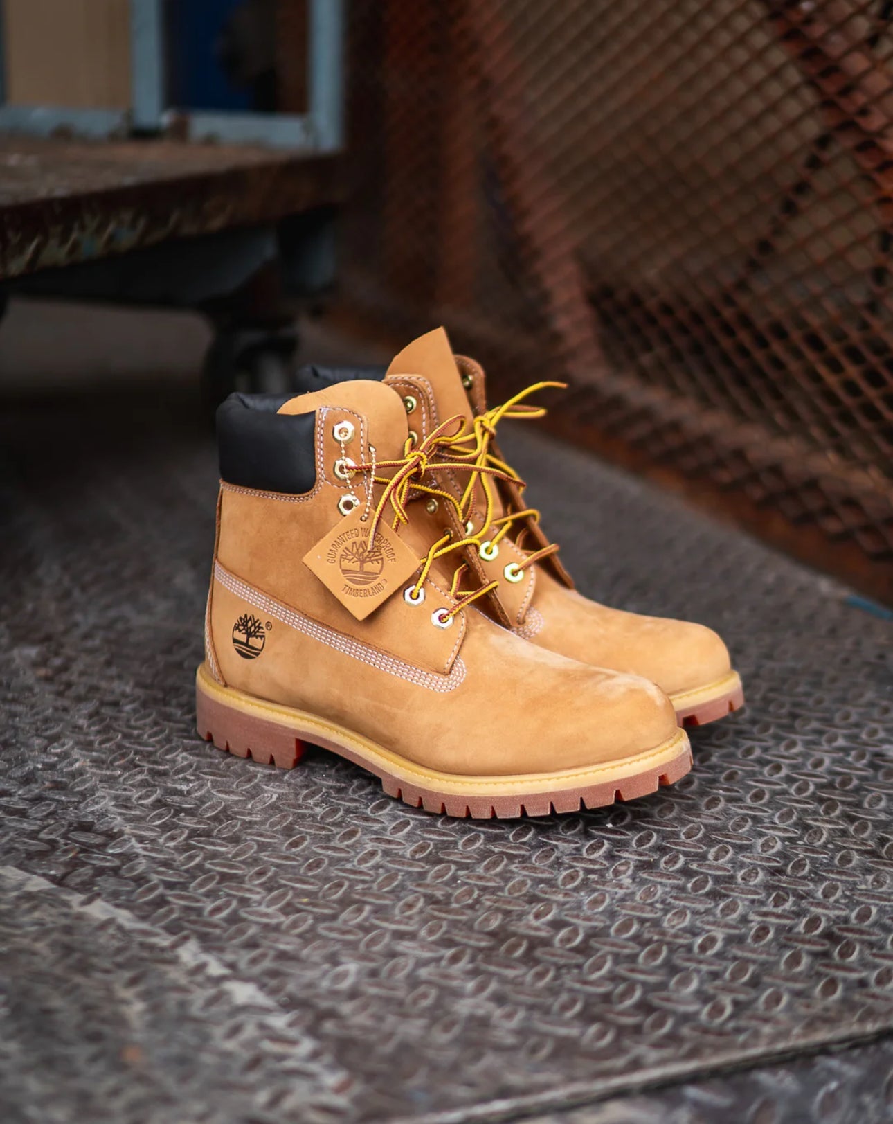 Timberland Boots 6IN Wheat