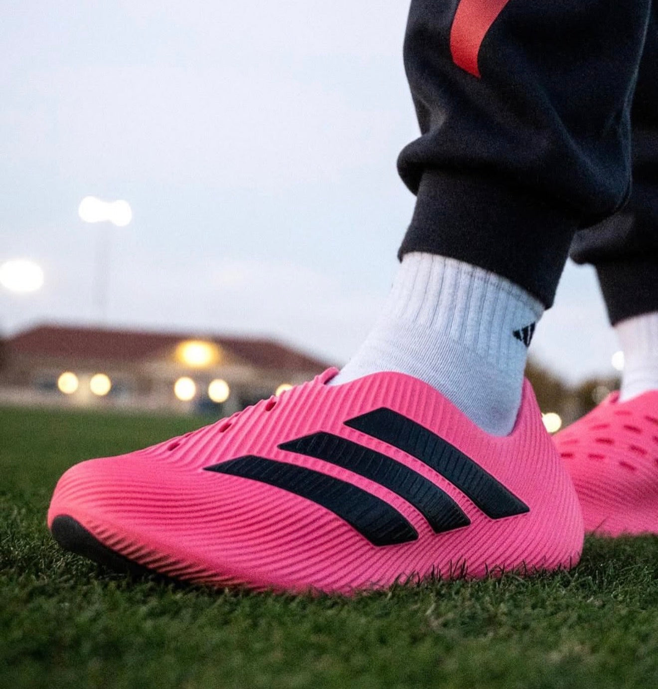 WMNs Purechill Runner Pink Black