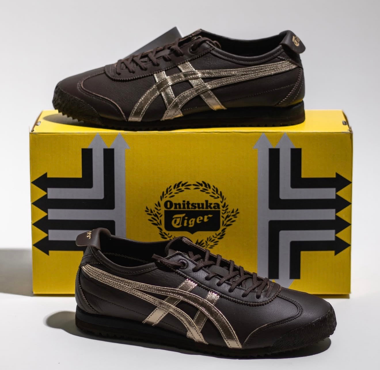 Mexico 66 SD Lace Up Licorice Brown Champagne