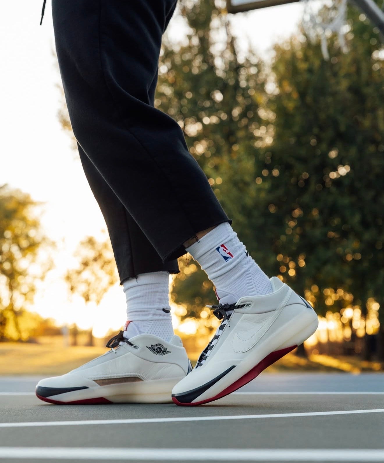 Air Jordan 40 Chicago