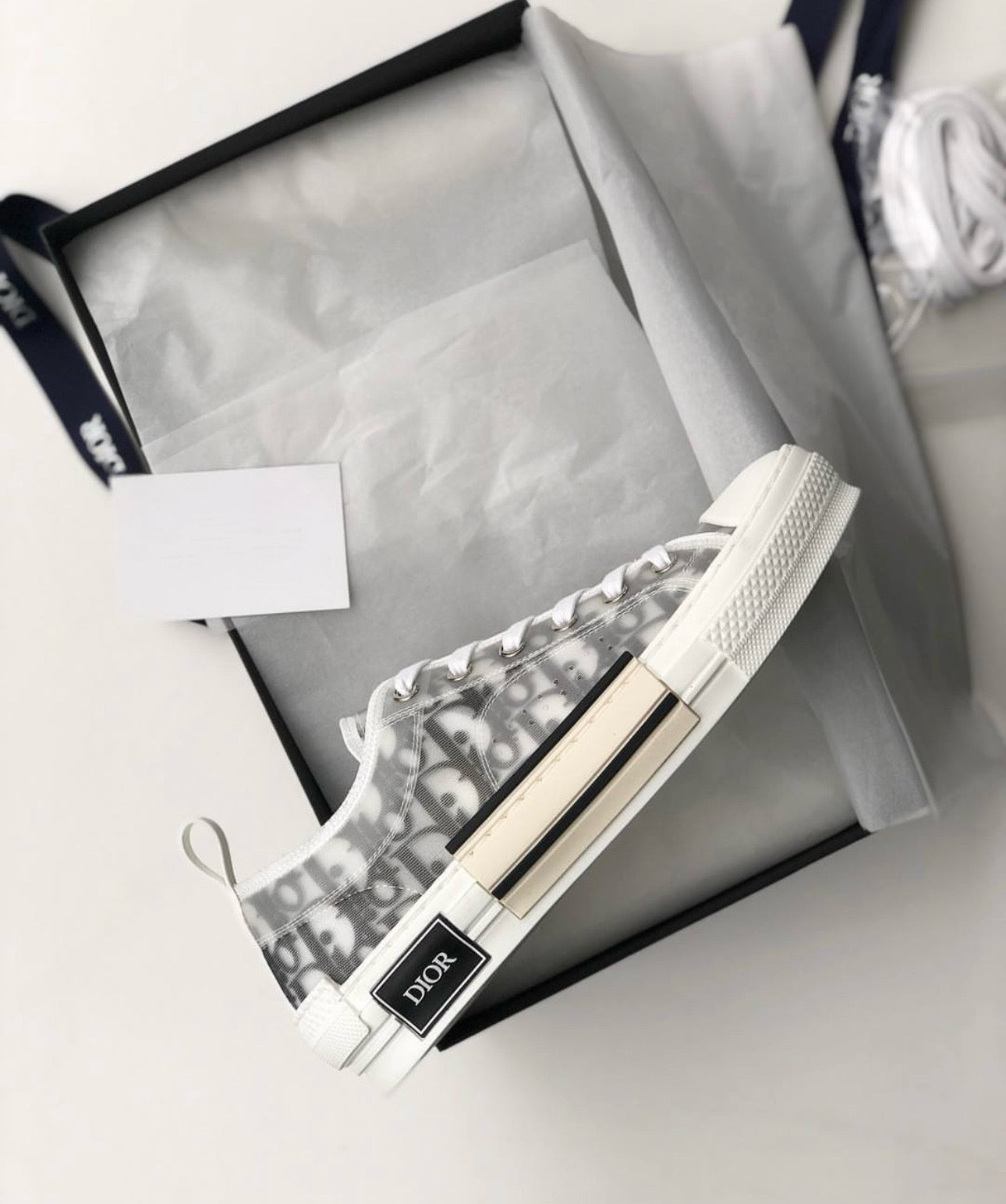 Dior B23 Low Top Oblique Sneakers