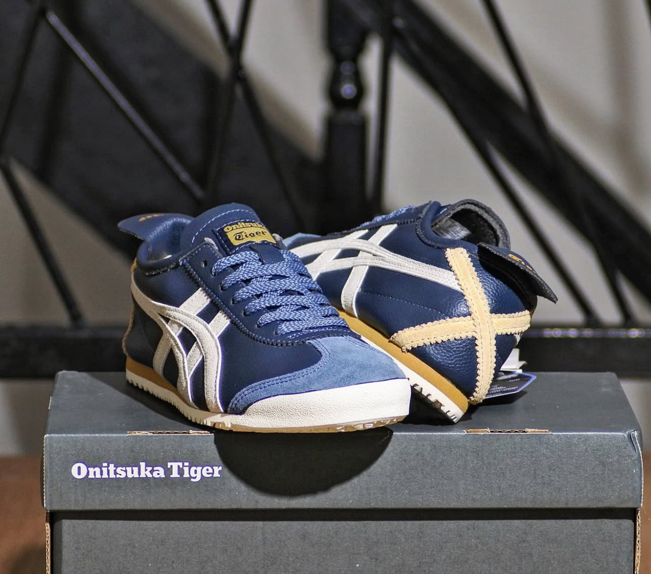 WMNs Mexico 66 Lace Up Iron Navy Birch