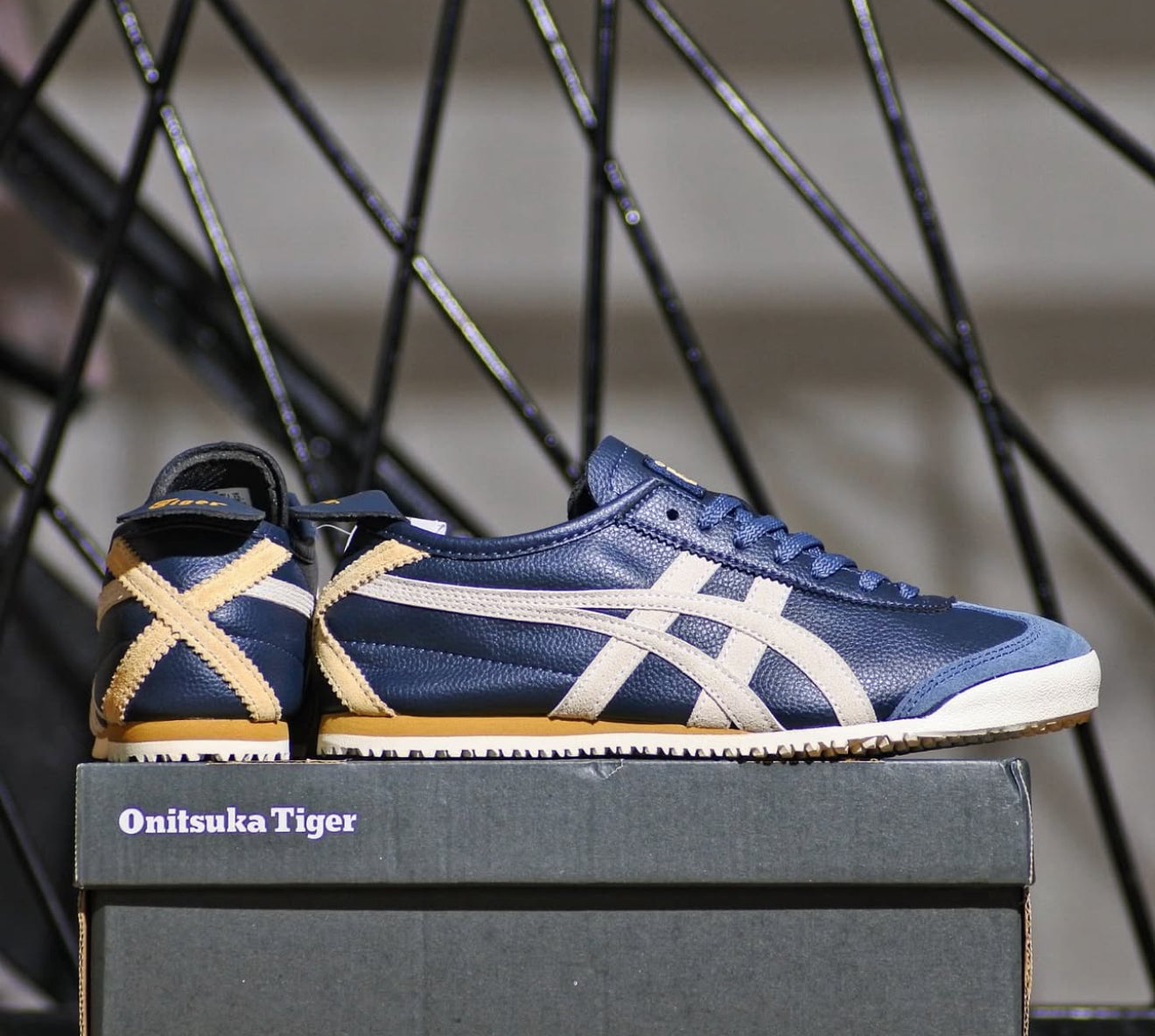 WMNs Mexico 66 Lace Up Iron Navy Birch