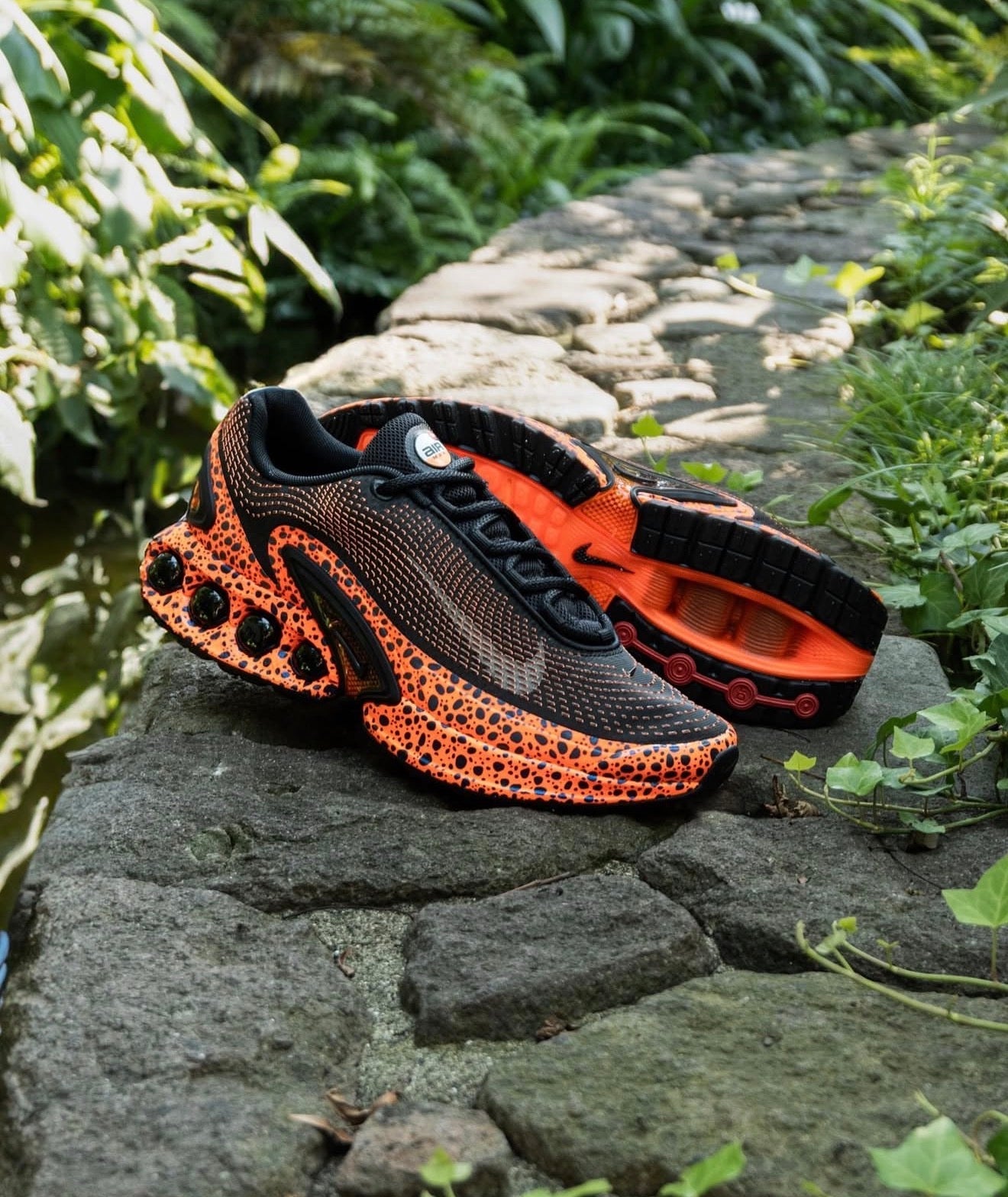 Airmax DN Safari