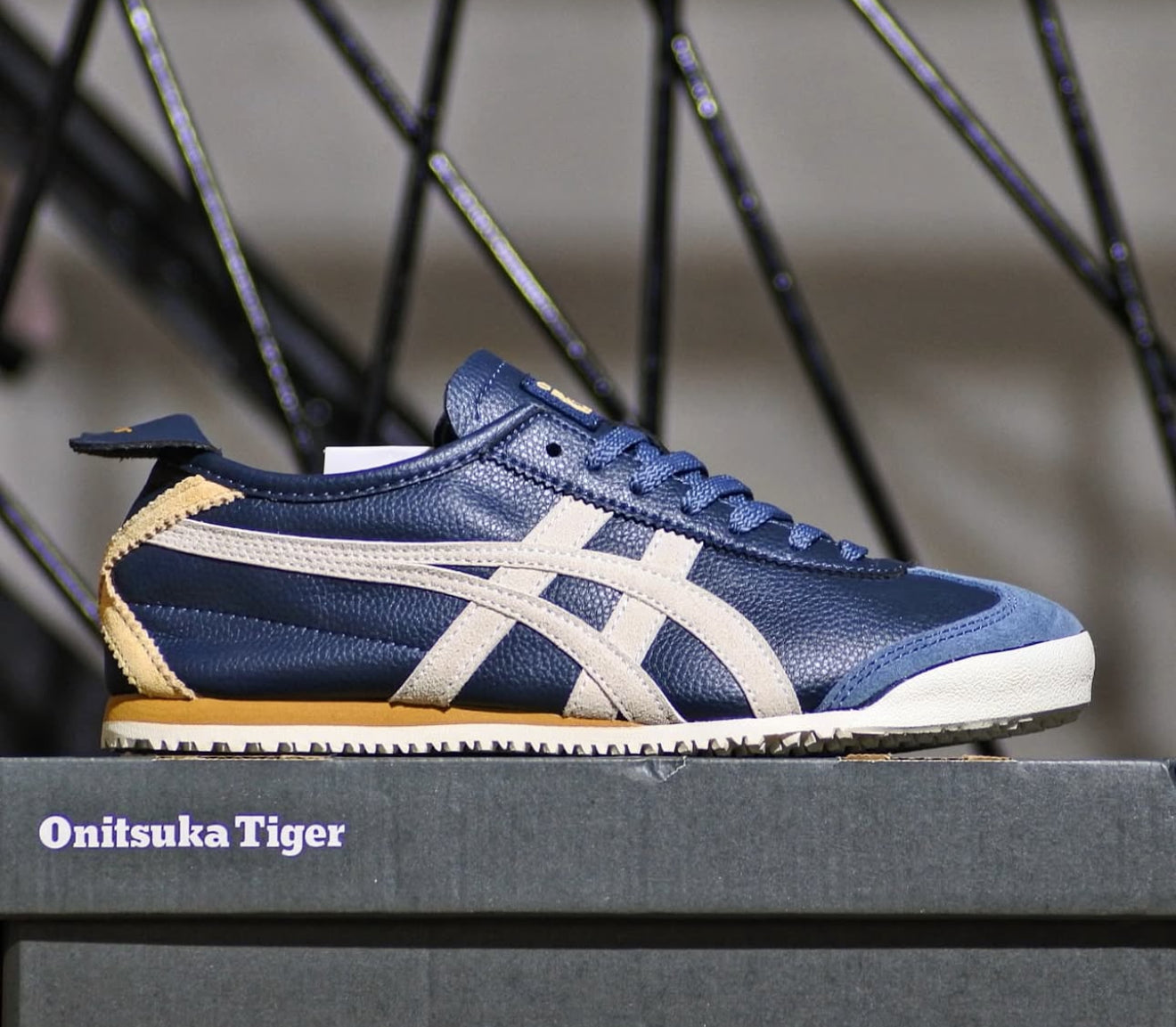 WMNs Mexico 66 Lace Up Iron Navy Birch