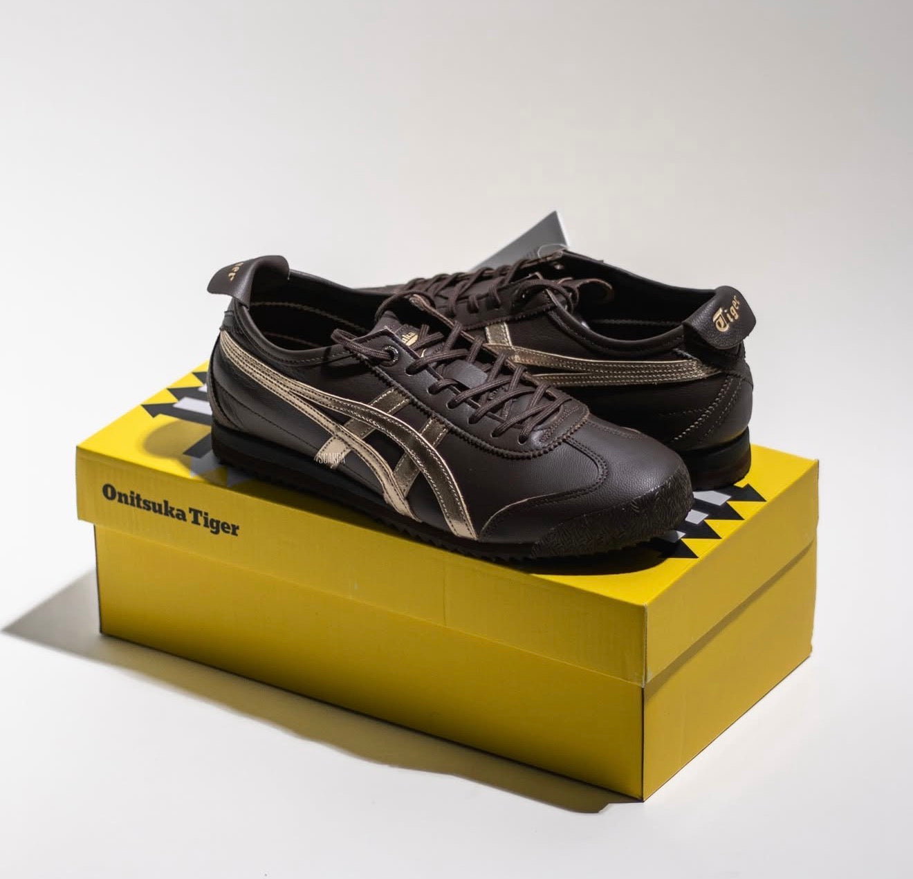 Mexico 66 SD Lace Up Licorice Brown Champagne