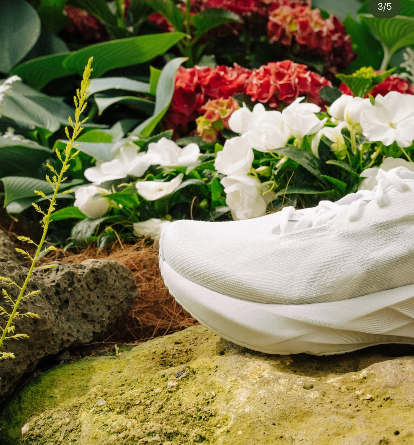 Asics Novablast 5 White Piedmont Grey