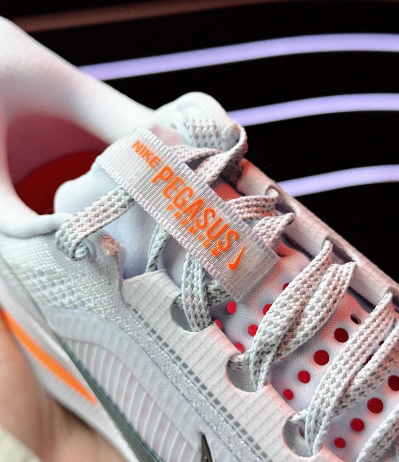 Air Zoom Pegasus Premium Airscape