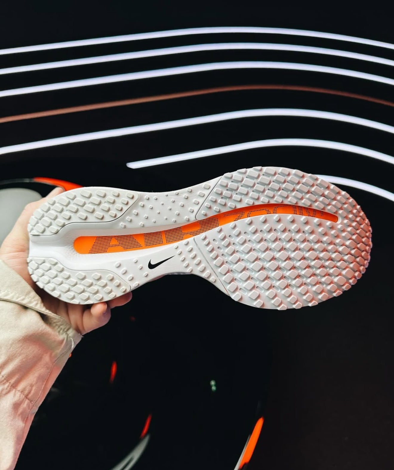 Air Zoom Pegasus Premium Airscape