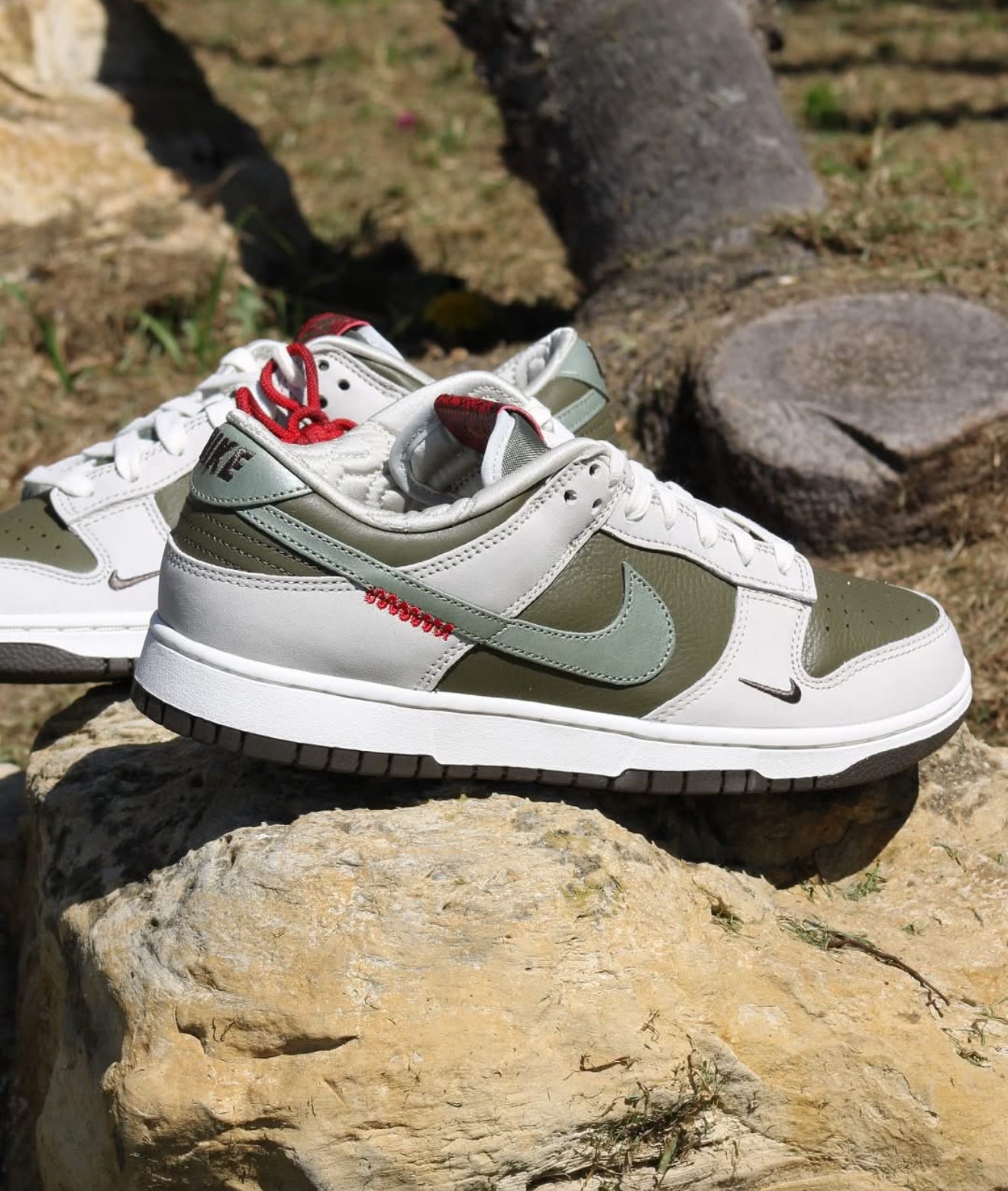 Dunk Low Retro Year of the Snake (2025)