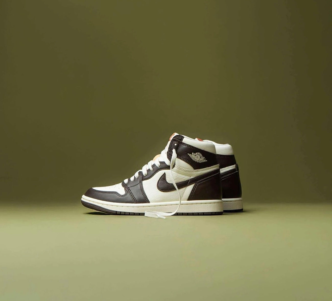 Air Jordan 1 Retro High OG Light Madder Root