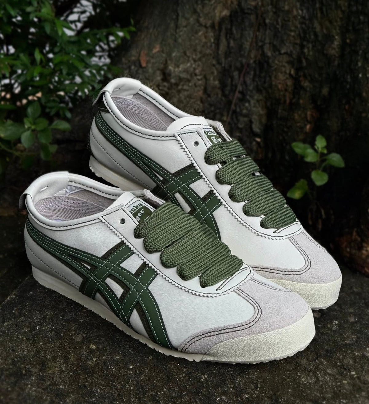 Mexico 66 Lace Up Cream Moss