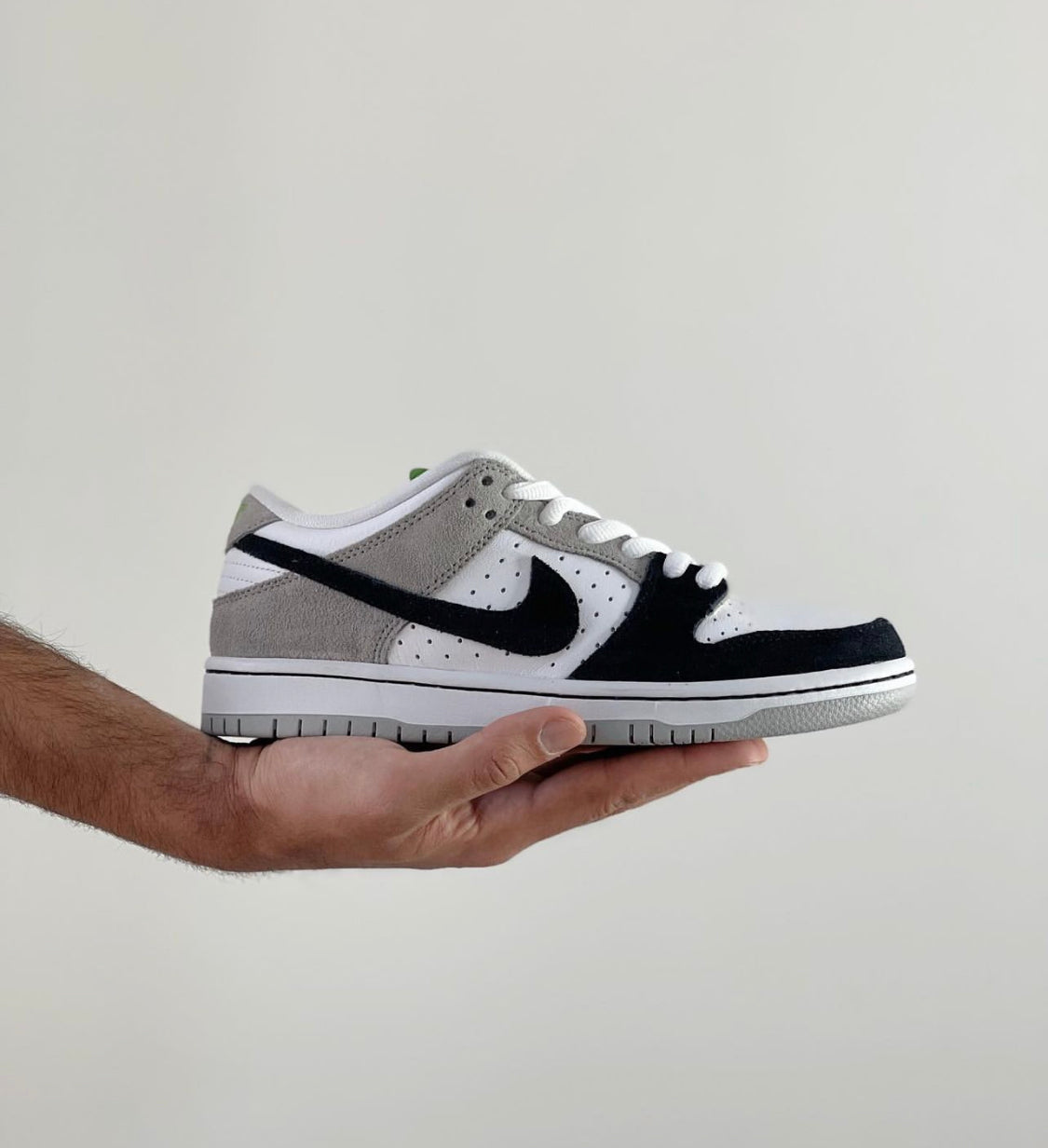 Dunk Low “ Chlorophyll ”