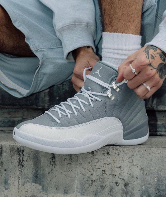 Air Jordan 12 “ Stealth “