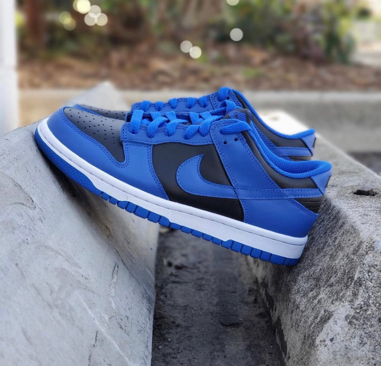 Dunk Low Hyper Cobalt