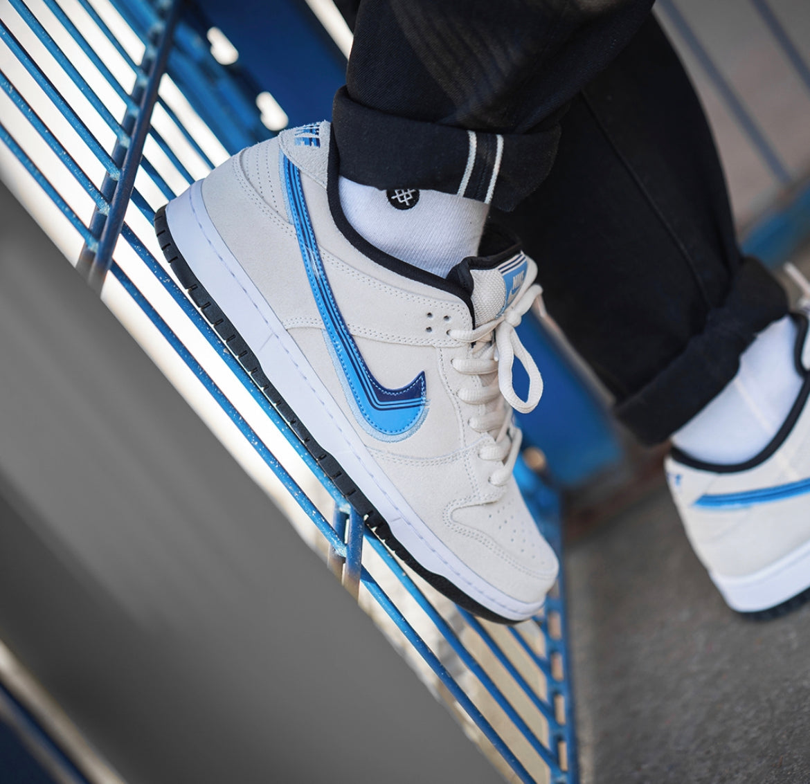 Sb Dunk Low “ Truck It ”