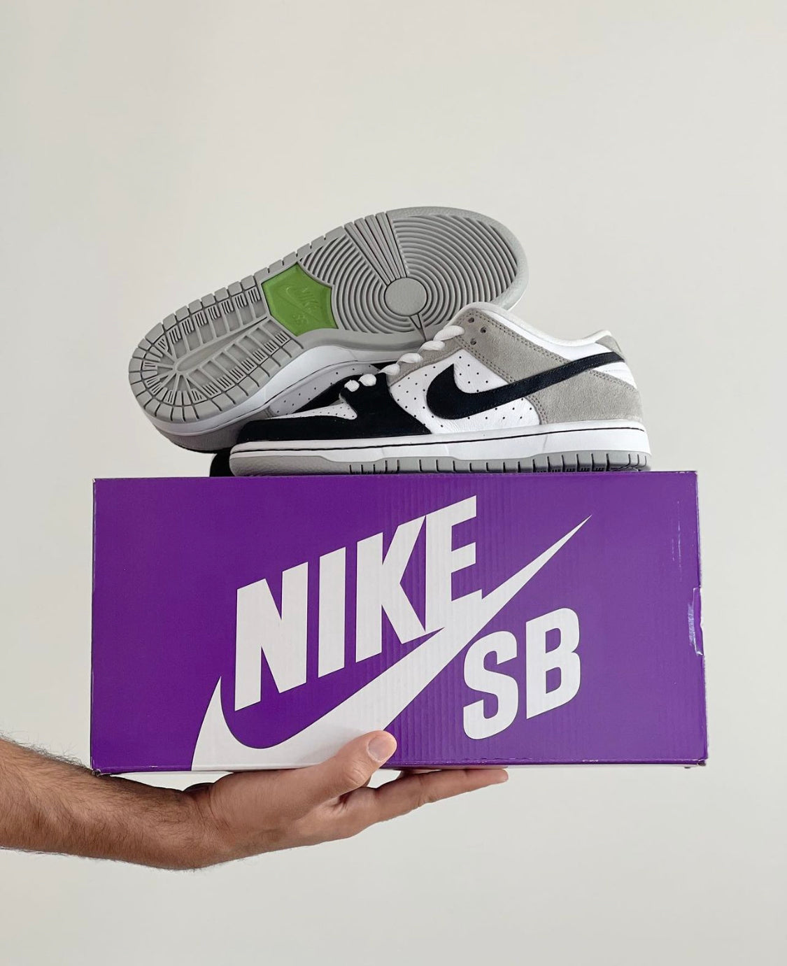 Dunk Low “ Chlorophyll ”